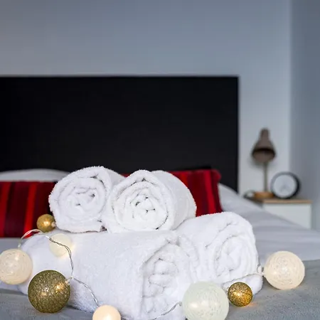 Evasion Lyonnaise Lumiere Et Confort Apartment